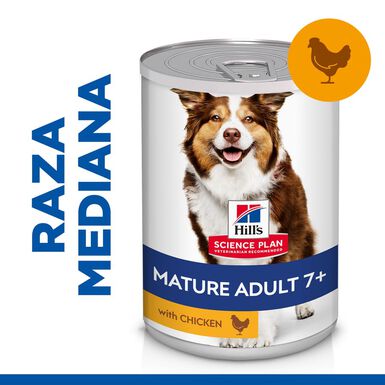 Hill's Science Plan Mature 7+ Adult frango em lata para cães